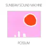 Sunbeam Sound Machine - Paradise - Single